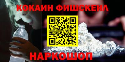 тгк Бийск