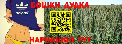 тгк Бийск