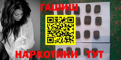 тгк Бийск